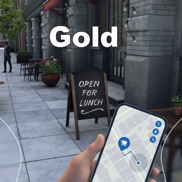 Varifocal GOLD - Full Rim Frame